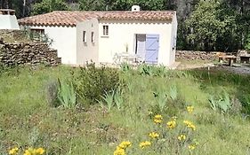 La maison du rouquet